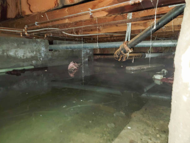 Fire Damage Restoration in Potomac Park, CA