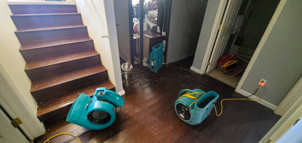  Potomac Park, CA Water damage restoration Pros