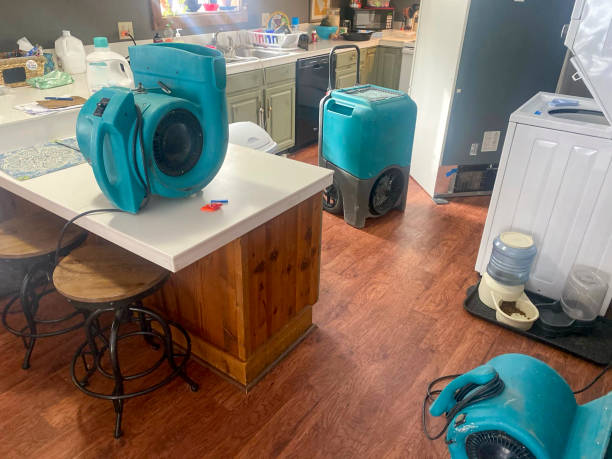 Best Ceiling water damage repair  in Potomac Park, CA