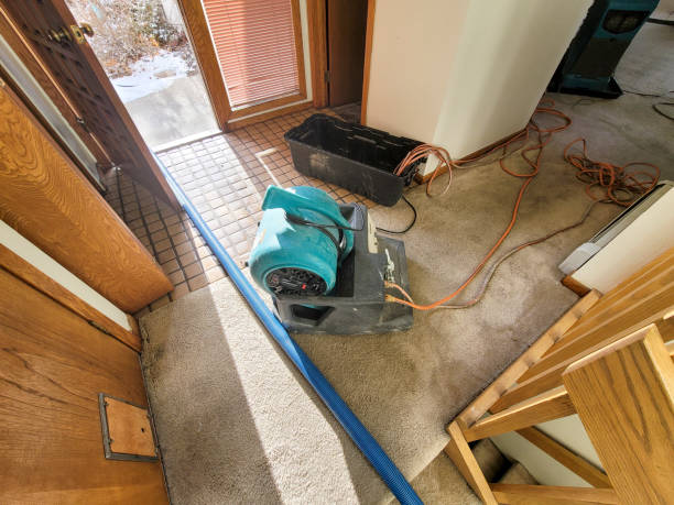 Best Residential water damage restoration  in Potomac Park, CA