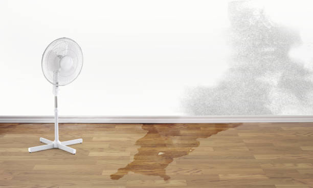 Best 24-hour water damage restoration  in Potomac Park, CA