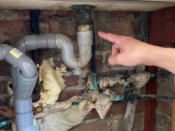 Best Water damage cleanup near me  in Potomac Park, CA