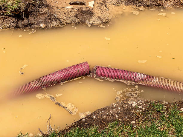 Best Residential water damage restoration  in Potomac Park, CA